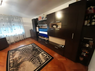 Apartament o camera, curte interioara, Horea